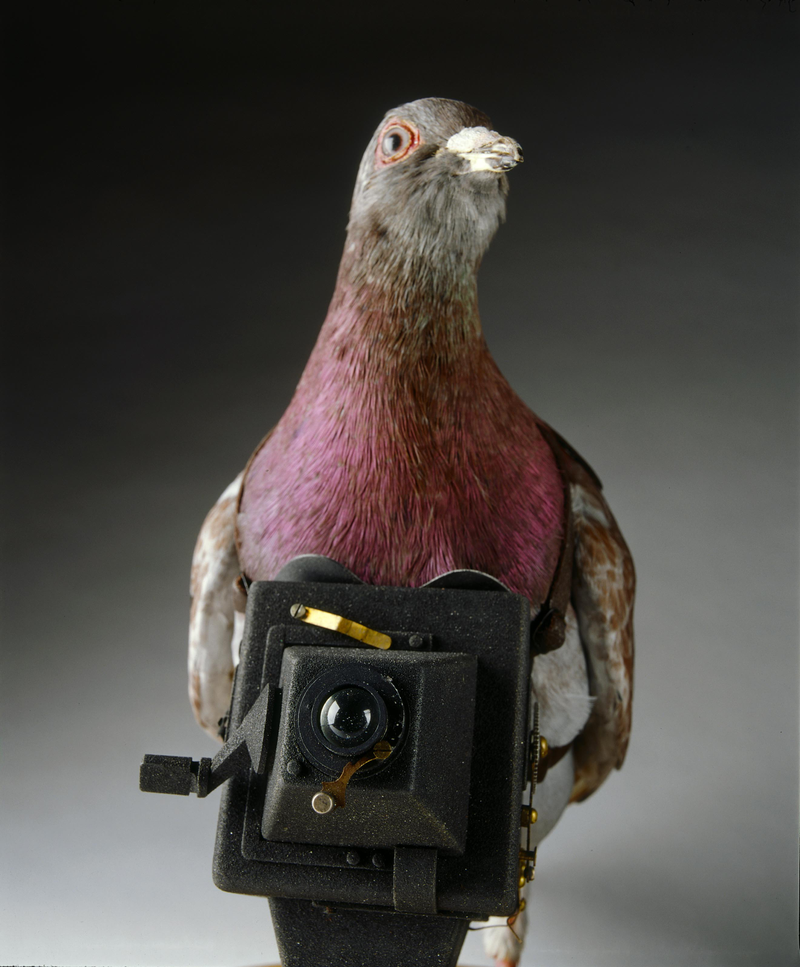 Illustration for article titled The Most Fascinating Spy Gear From The Spy Museum's Archives